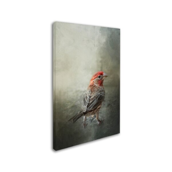 Jai Johnson 'Little Red After The Storm' Canvas Art,22x32